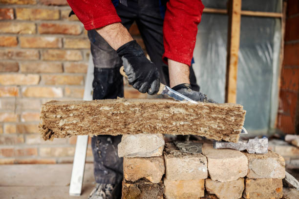 Best Insulation Removal Services  in Longmont, CO
